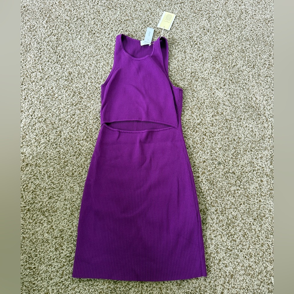 Aritzia Wilfred Vibrant Purple Mini Dress NWT